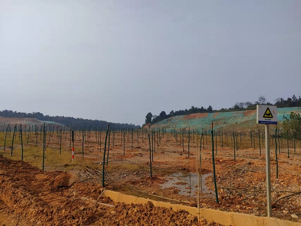 澧縣土地資源,澧縣公共基礎設施,澧縣工商業信息咨詢,澧縣澧州實業發展有限公司 澧縣土地資源,澧縣公共基礎設施,澧縣工商業信息咨詢,澧縣澧州實業發展有限公司